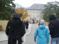 IMGP3166.JPG
